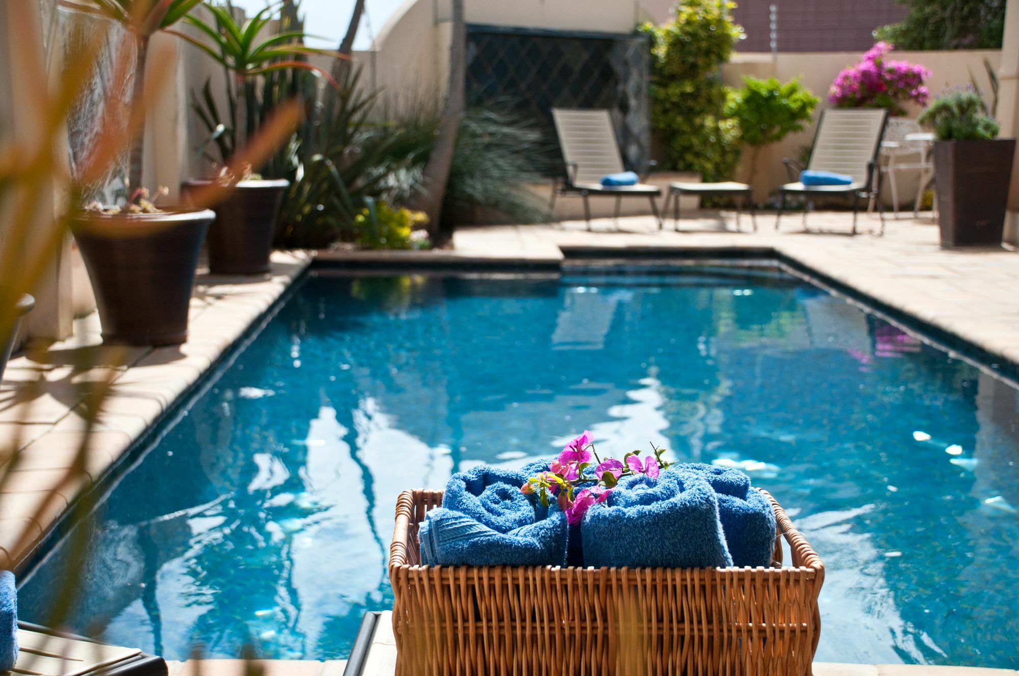 Cape Flame Guest House Puerto Elizabeth Exterior foto